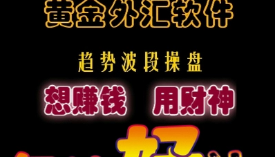 财神指标/现货黄金白银外汇喊单/黄金外汇交易软件/波段分析系统