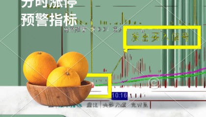 9:35锁定涨停板？这个分时预警指标让主力为你打工！