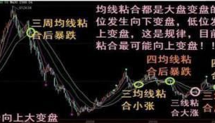 上海女博士说破股市“均线粘合排序”庄家听后跪求删帖！受益了