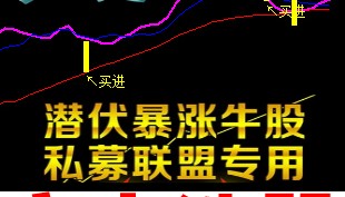 突击选股短线炒股软件股票软件自动预警选股通达信专用版涨停操盘
