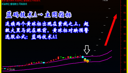 如果股票被套，你会选择加大仓位，还是割肉出局？对于散户来说？