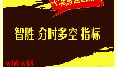 文华财经指标 分时多空公式 股指期货 现货黄金白银外汇商品/智胜