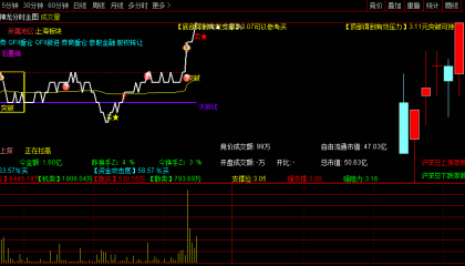 【神龙溪智能分时】主图指标 使用说明 叠加6日K线日内T+0参考 只能电脑使用
