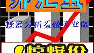 【外汇宝】操盘分析系统专业版/博易大师－－炒外汇高手参考工具