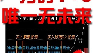 通达信炒股软件/市面上无未来函数的T+0分时股票指标公式