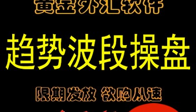 炒黄金白银外汇原油分析软件期货现货波段操盘手适合倚天版博易版