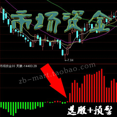 市场资金88 今确反映当天资金指标公式/通达信炒股软件/选股预警