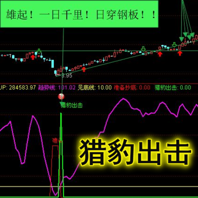 通达信高手系列－猎豹出击高手懂得一定技巧和会判断趋势的作用