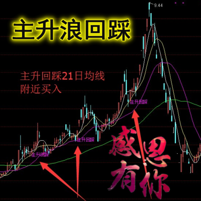 通达信股票指标－主升浪回踩　不做空头行情回踩21日均线附近买入