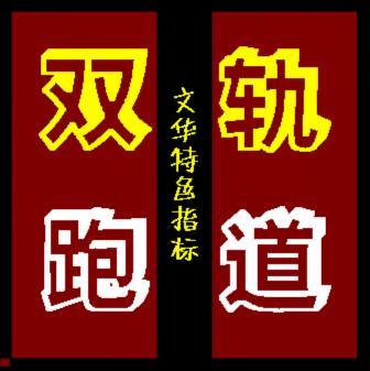 ★淘宝-双轨跑道★/期货软件指标/文华财经/长短趋势结合看盘做单