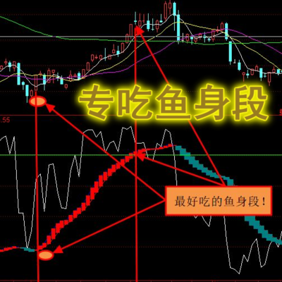 通达信指标－专吃鱼身段（鱼身操作法要等指标发出信号才可以）