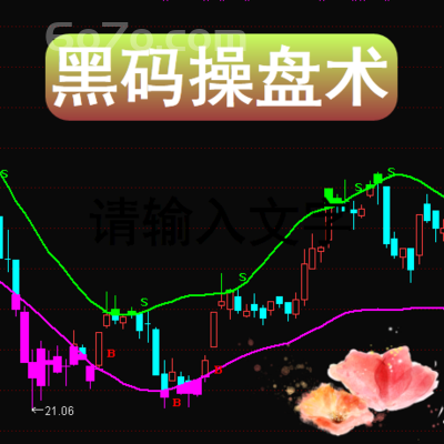 通达信版－黑码操盘术计划你的交易交易你的计划逆势操作失败开始