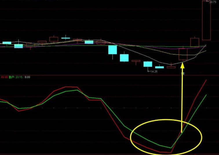 量化主力暗号破解：短线金叉猎人擒拿 20cm 阳线全攻略（附源码）
