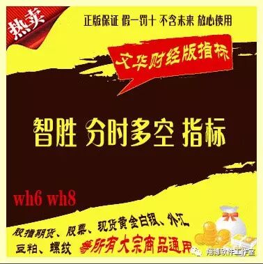 文华财经指标 分时多空公式 股指期货 现货黄金白银外汇商品/智胜