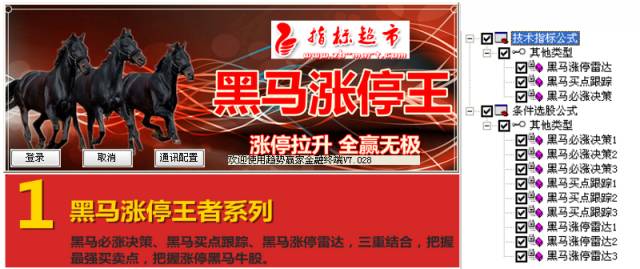 黑马涨停王拉升王短线王选股预警复制机炒股软件股票软件