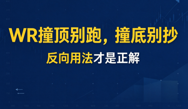 WR一到20就卖？你正在主升浪中途下车